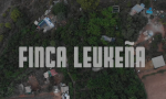 Video von 2024