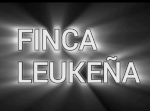 Video von 2025
